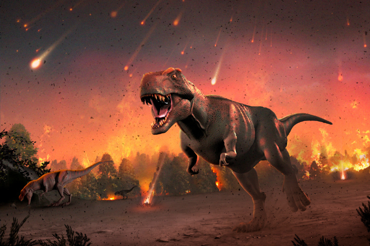 extinction, Cretaceous–Paleogene, dinosuars T Rex