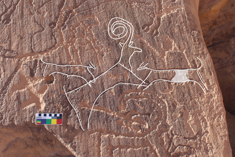An AlUla rock art panel shows two dogs hunting an ibex, surrounded by cattle. The weathering patterns and superimpositions visible on this panel indicate a late Neolithic age for the engravings, within the date range of the burials at the recently excavated burial sites