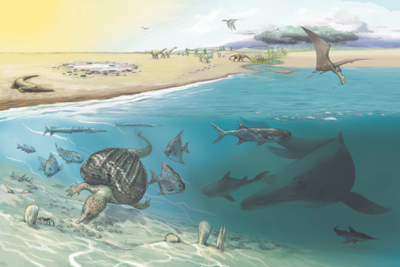 An ichthyosaur in its environment ichthyosaur. Copyright Dr Heinz Furrer