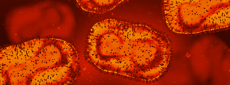 Monkeypox virus under microscope