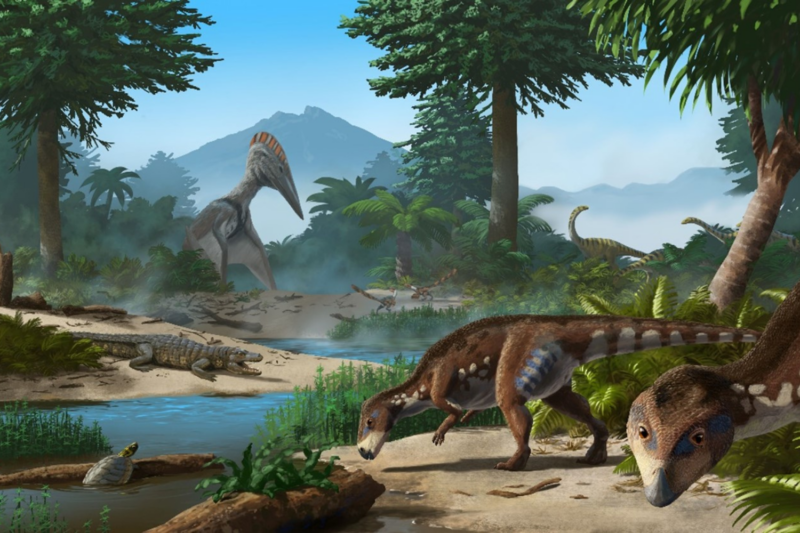 Inhabitants of the "Island of the Dwarf Dinosaurs" in present-day Transylvania in the Cretaceous: Transylvanosaurus (front right), as well as turtles, crocodiles, giant pterosaurs and other dwarf dinosaurs. Illustration: Peter Nickolaus
