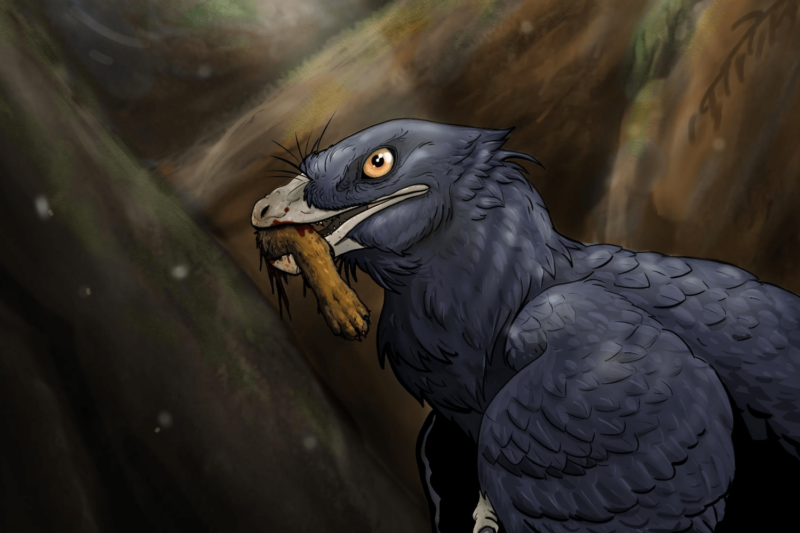 Illustration of Microraptor eating a mammal's leg. Copyright - Ralph Attanasia