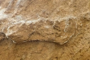 Oldest ever Homo sapiens footprint is found, and it pushes the record back by 30,000 years