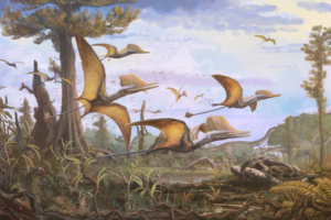 New species of Jurassic pterosaur discovered on the Isle of Skye