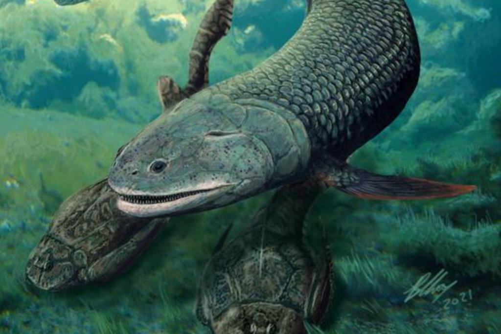 Ancient Australian air-breathing fish from 380m years ago springs back ...