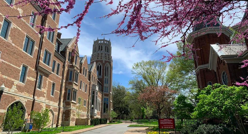 Image of Vanderbilt University campus with trees in blossom.