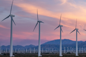 Wind Farms can Offset Their Emissions Within Two Years, New Study Shows