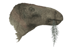 Research reveals the most complete dinosaur discovered in the UK in a century