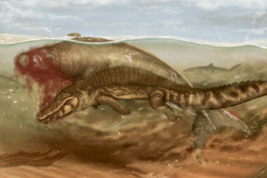 Ancient sea cow attacked by a crocodile and sharks sheds new light on prehistoric food chains