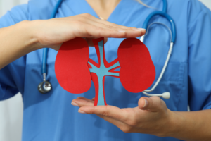 New AI tool set to be a “game changer” in improving outcome predictions for kidney transplant patients