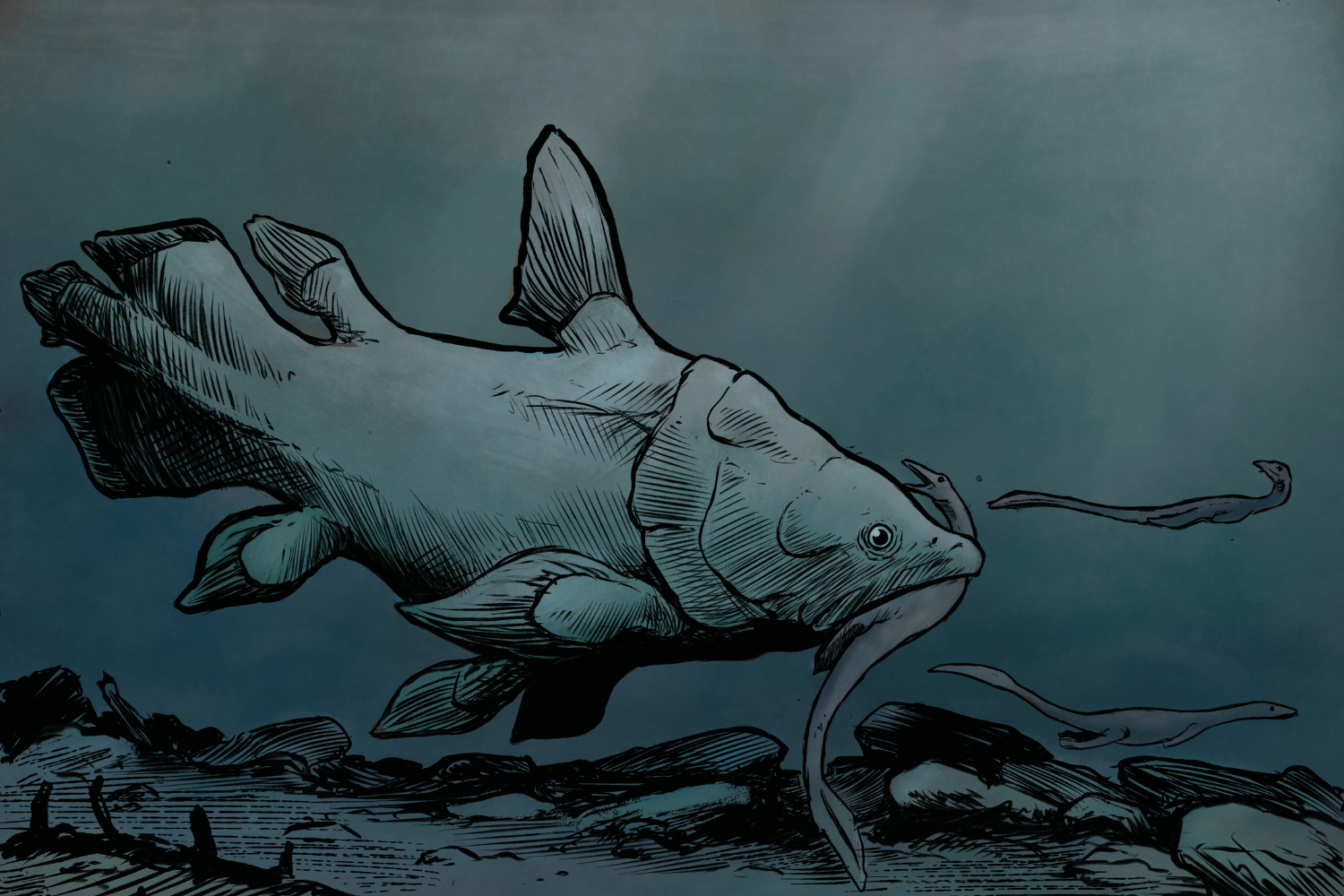 Reconstruction of a large mawsoniid coelacanth from the British Rhaetian (Artist credit: Daniel Phillips).