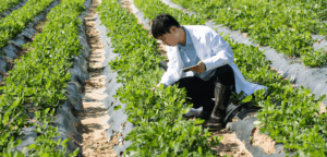 Adoption of open research practices exceeding expectations