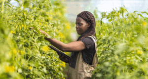 32 books on key global issues to be published OA through collective funding initiative