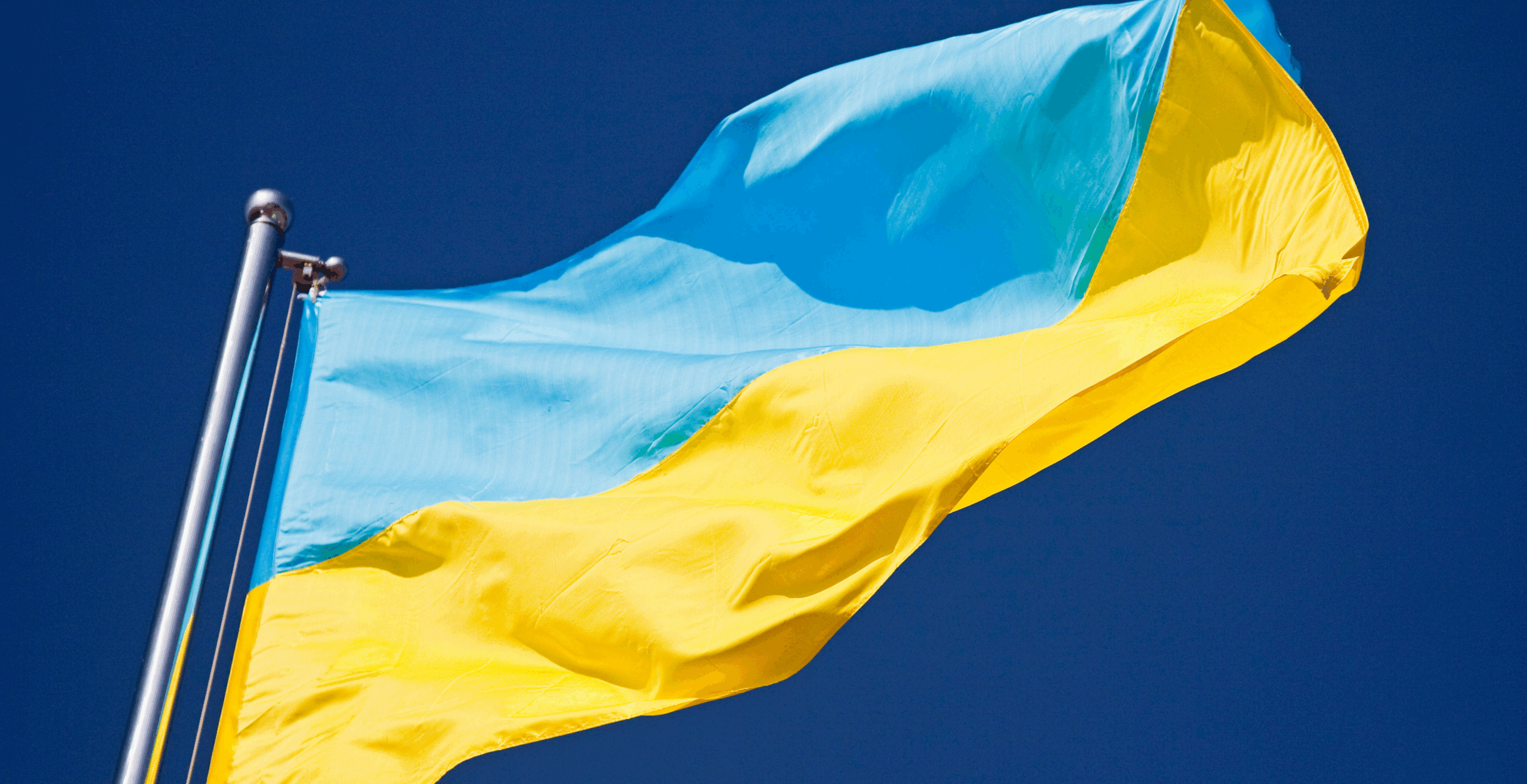 Photograph of the Ukrainian flag flying on a flag pole.