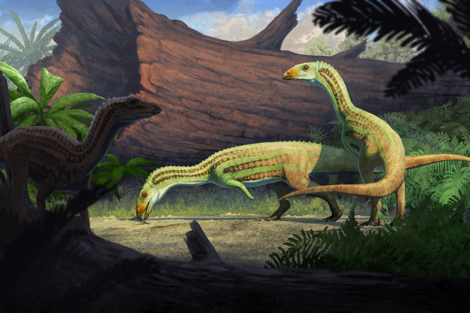Artist's reconstruction of Sonselasuchus cedrus in its environment in what is now Petrified Forest National Park, 215 million years ago (artwork by Gabriel Ugueto)