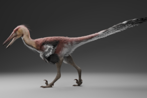 Heron-like, fish-eating dinosaur from 70 million years ago discovered in Argentina