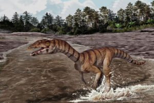 Reconstruction of Labrujasuchus expectatus, a new species of Shuvosauridae from Late Triassic rocks of Ghost Ranch, New Mexico (artwork by Jorge Gonzalez, copyright NHMLAC Dinosaur Institute).