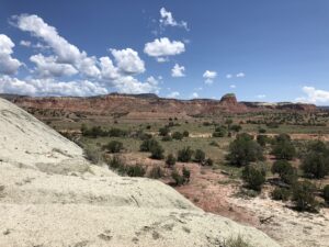 View across Ghost Ranch lands and Late Triassic rocks from the Hayden Quarries site (photo by Nate Smith).