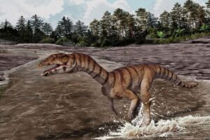 Meet the ‘Witch Croc’ – a new Triassic find of a bizarre, toothless ancient crocodile relative that stood on two legs
