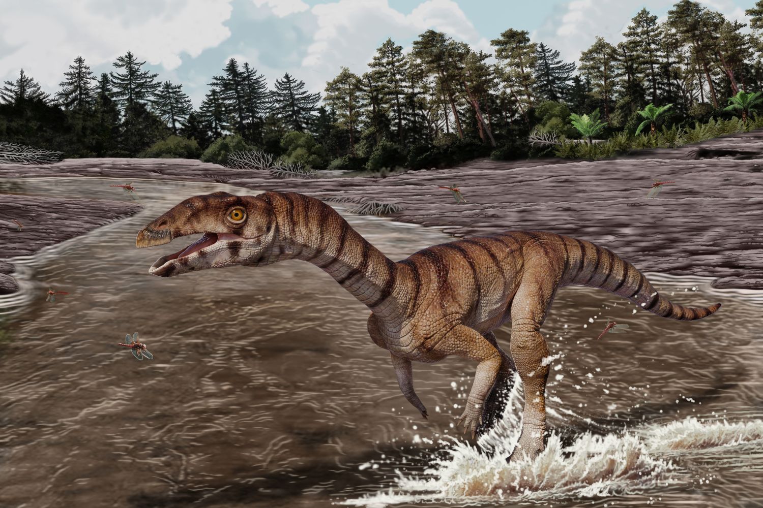 Reconstruction of Labrujasuchus expectatus, a new species of Shuvosauridae from Late Triassic rocks of Ghost Ranch, New Mexico (artwork by Jorge Gonzalez, copyright NHMLAC Dinosaur Institute).