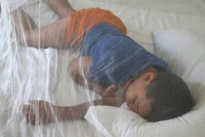 Global study confirms mosquito nets remain a powerful weapon against malaria – but warns their long-term effectiveness is under threat