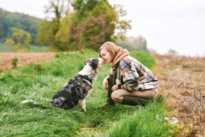 How dogs evolved differently across the globe to match human traits