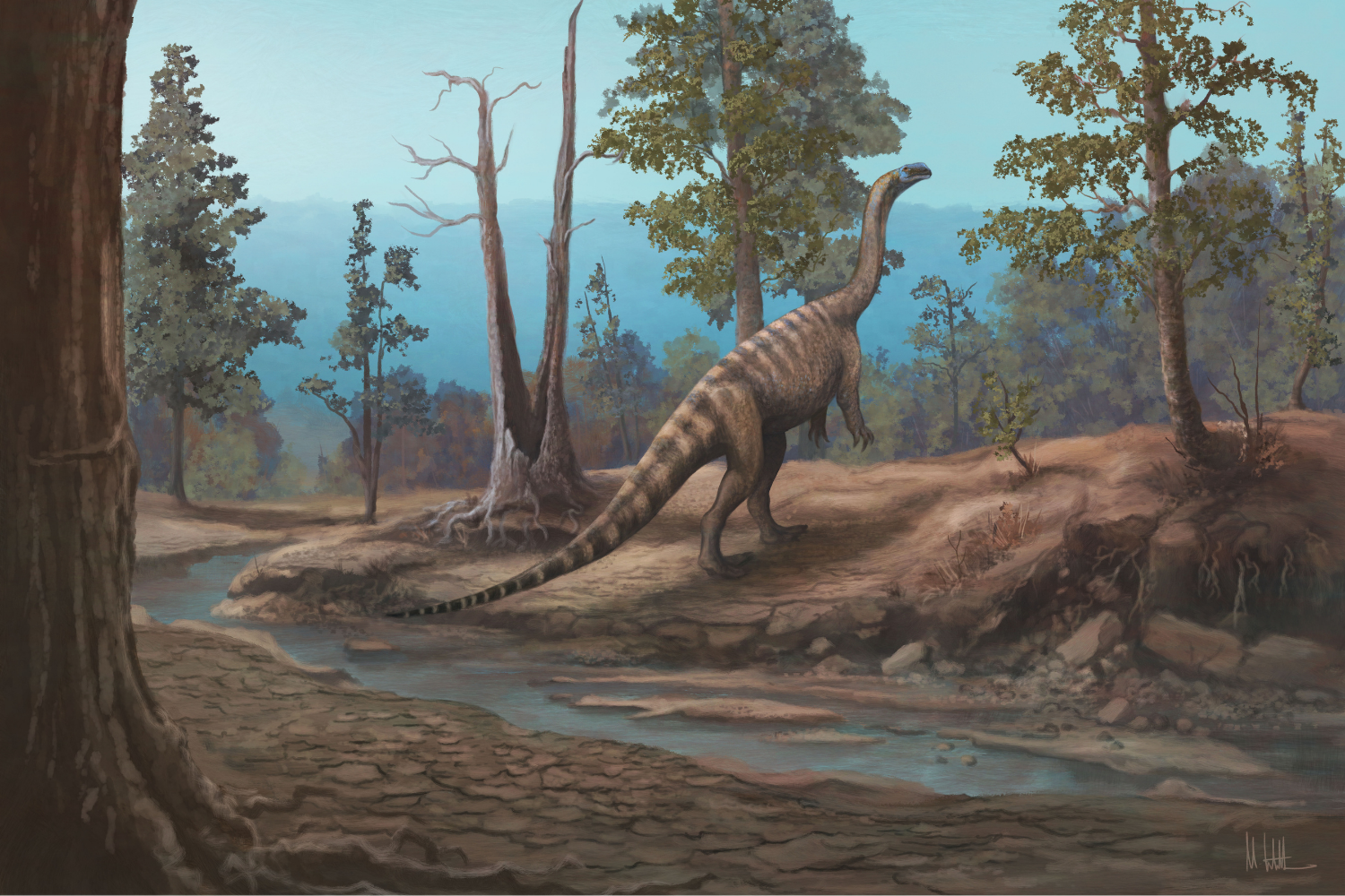 An artist’s reconstruction of Musango matusadonaensis walking in a wooded area near a stream. © Mark Witton 2026