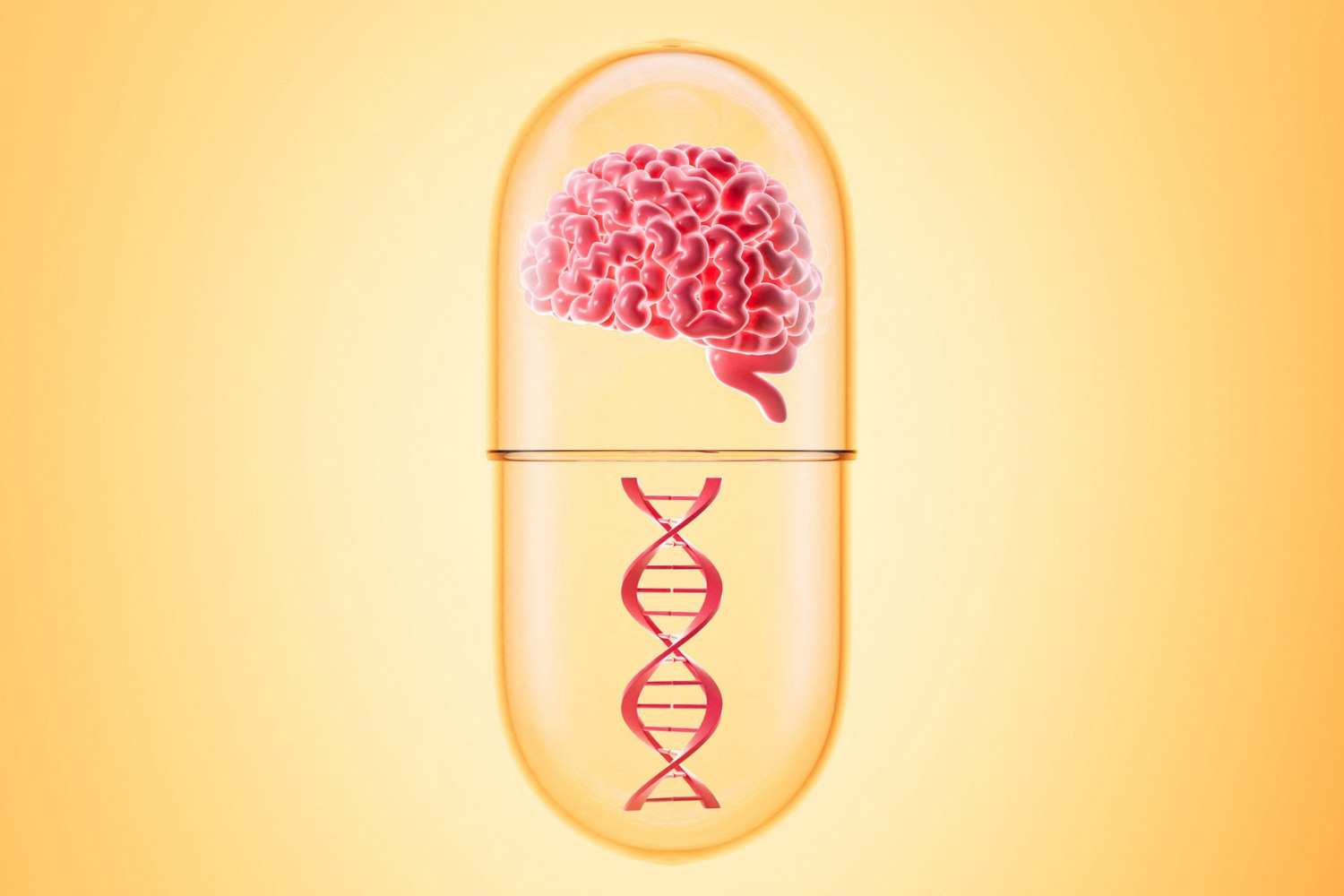 Human brain and DNA, 3d rendering