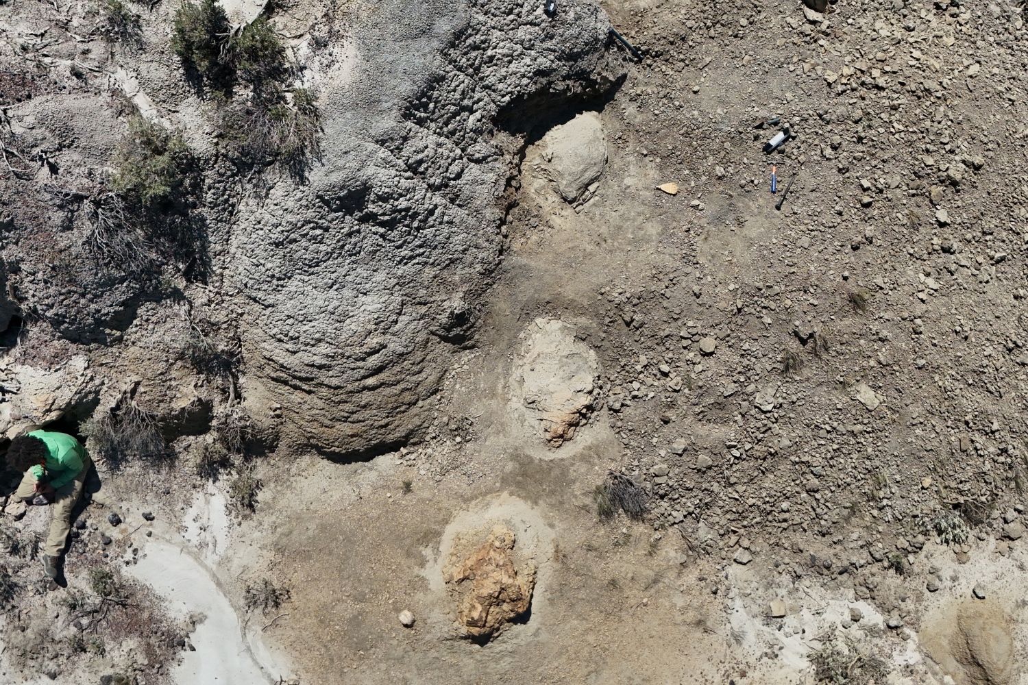 T. Rex trackway, credit Kent Hups