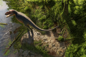 Walking T. rex illustration, credit Andrey Atuchin