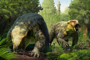New species of 240-million-year-old prehistoric animal from Tanzania discovered