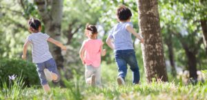 Taylor & Francis announces innovative multimedia resources to support readers of Developing Little Minds books