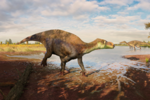 New UK dinosaur discovered using Natural History Museum’s fossil collections named after devoted dad and husband