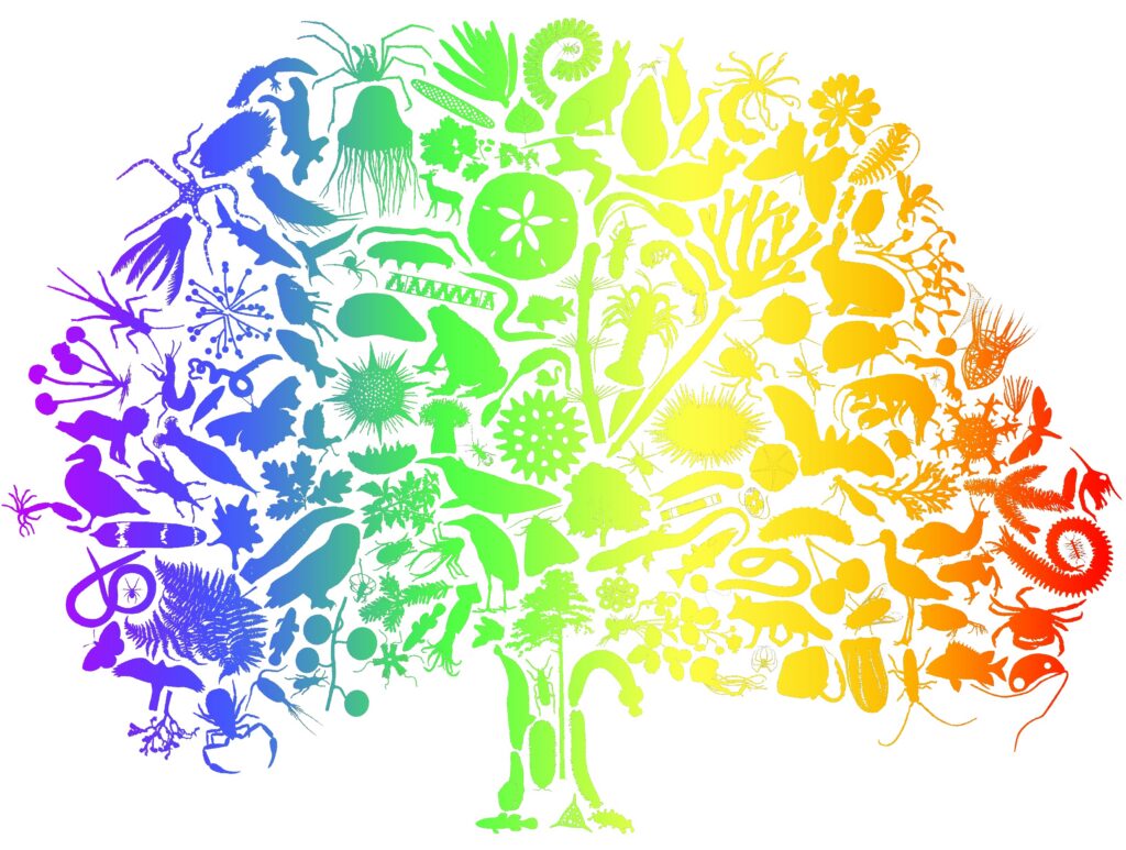 Tree of Life program targets publication of 200 genome notes per month ...