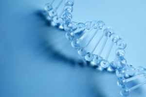 Exploring African DNA can transform understanding of human genetics – what does that mean for medicine?